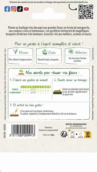 Fleurs - Pyrèthre Géant varié - MEDIA_PACKAGING_VERSO